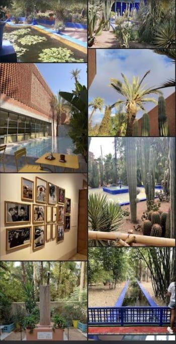 Luxueux Appartement Marrakech Au Coeur De L Hivernage Marrakesh Buitenkant foto